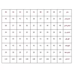 شلوار زنانه بسیار باکیفیت جین مام