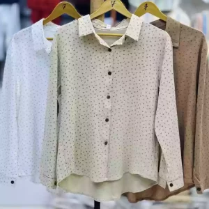 شومیزنخی